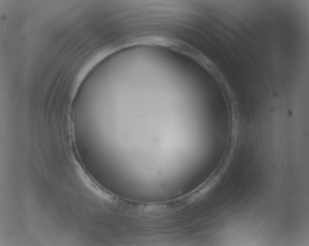 X0000052570808200507011219