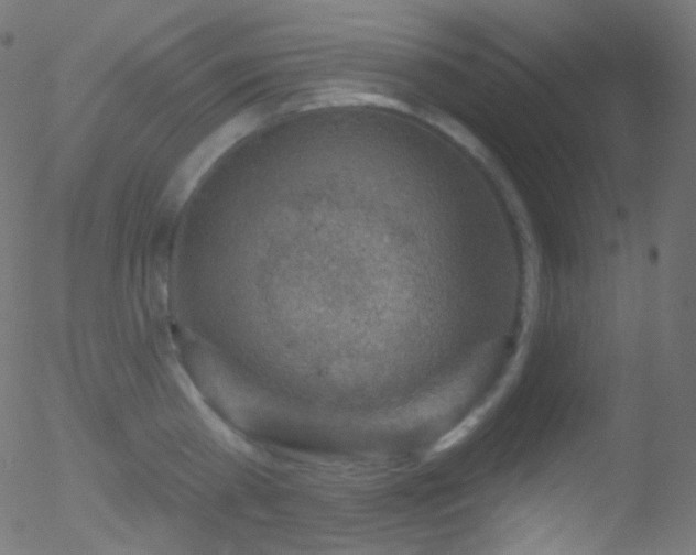 X0000052570809200507011219