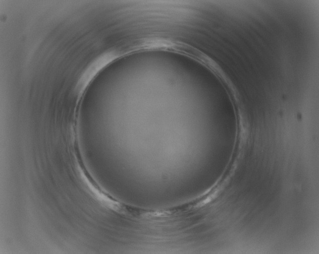 X0000052570810200507011219