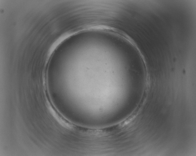 X0000052570811200507011219