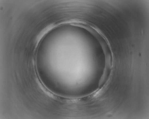 X0000052570813200507011219