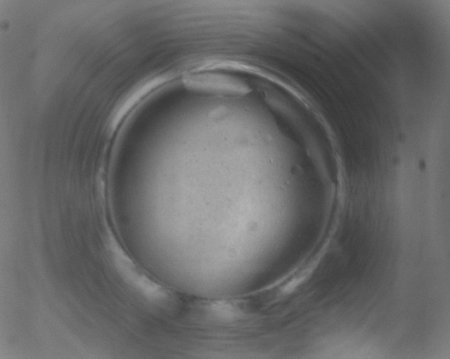 X0000052570814200507011219