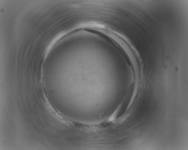 X0000052570815200507011219