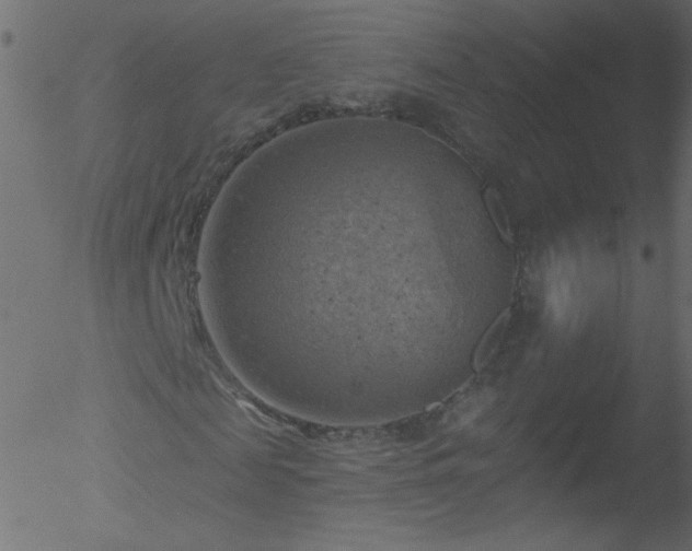 X0000052570817200507011218