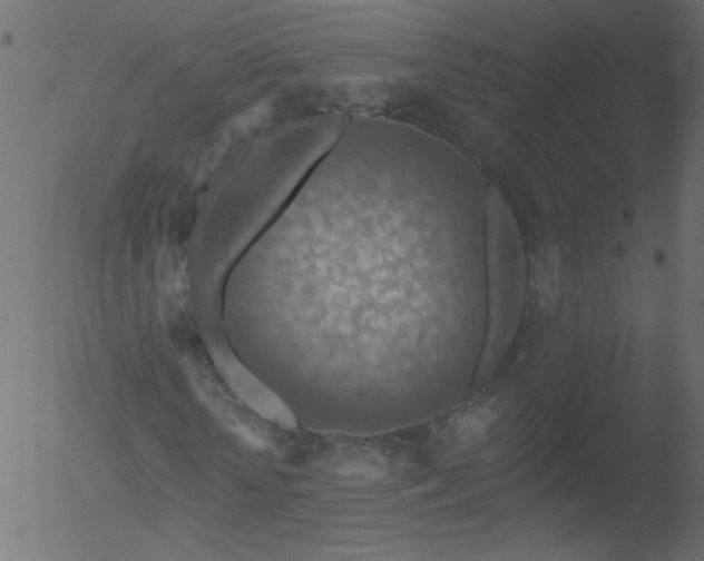 X0000052570818200507011218