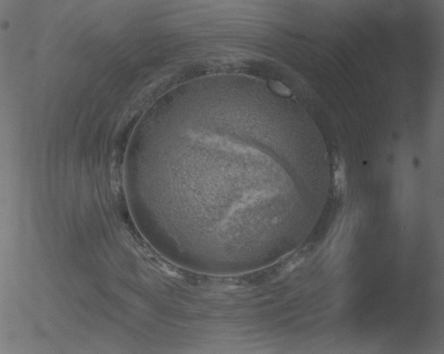 X0000052570819200507011218