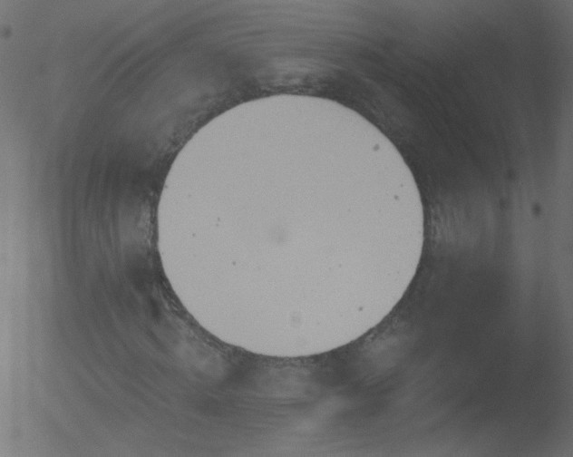 X0000052570820200507011218