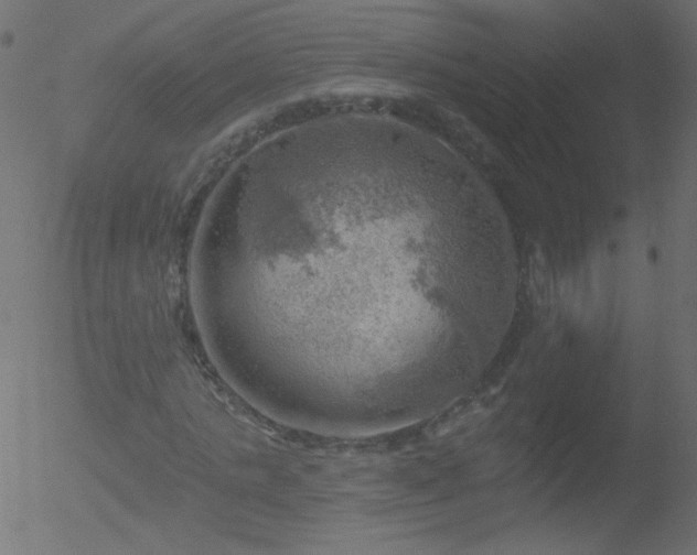 X0000052570821200507011218