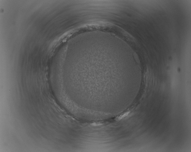 X0000052570822200507011218