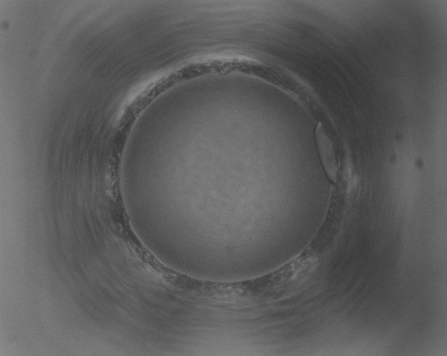 X0000052570823200507011218