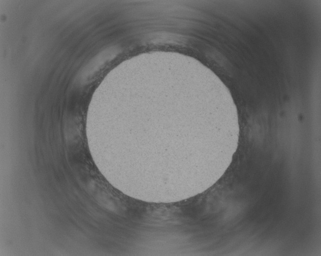 X0000052570824200507011218