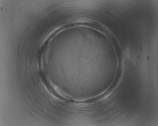 X0000052570825200507011218