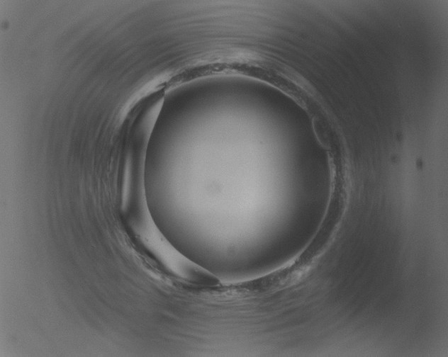 X0000052570826200507011218