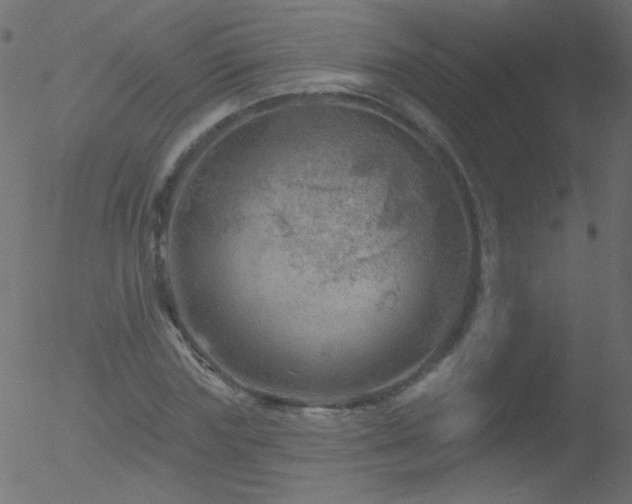 X0000052570827200507011218