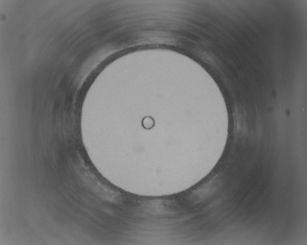 X0000052570828200507011218