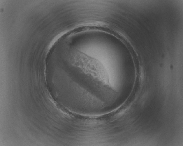 X0000052570829200507011218