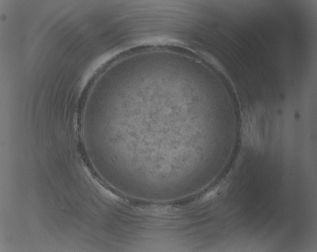 X0000052570831200507011218