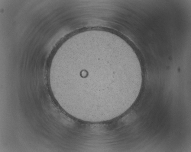 X0000052570832200507011218