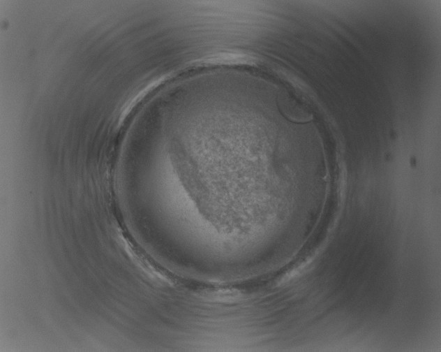 X0000052570833200507011218