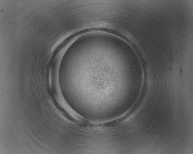 X0000052570834200507011218