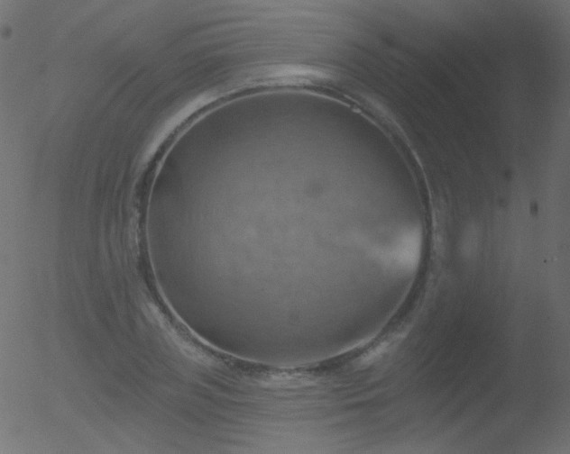 X0000052570835200507011218