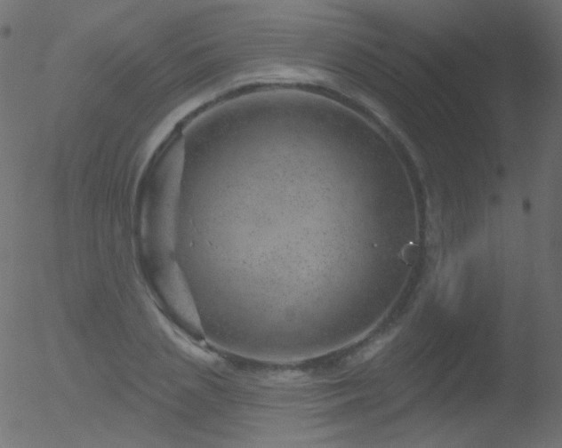 X0000052570837200507011218