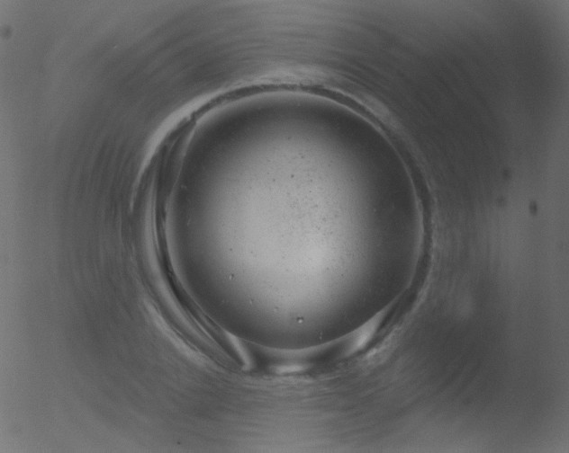 X0000052570838200507011219