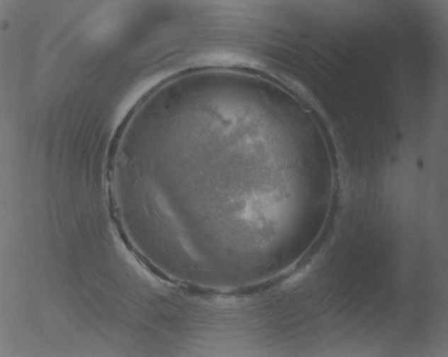 X0000052570839200507011219