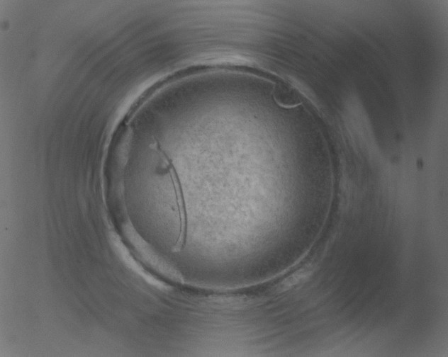 X0000052570840200507011219