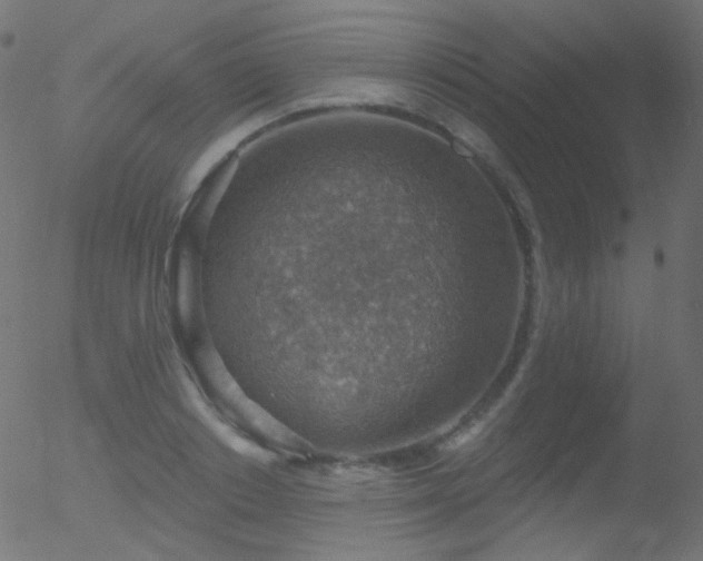 X0000052570842200507011219