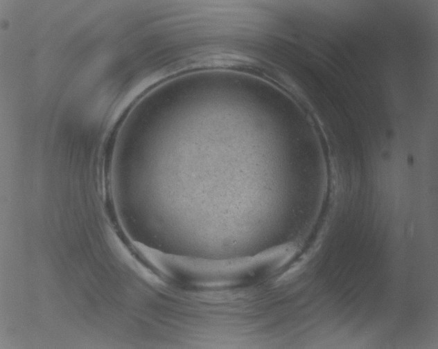 X0000052570843200507011219