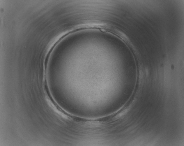 X0000052570844200507011219