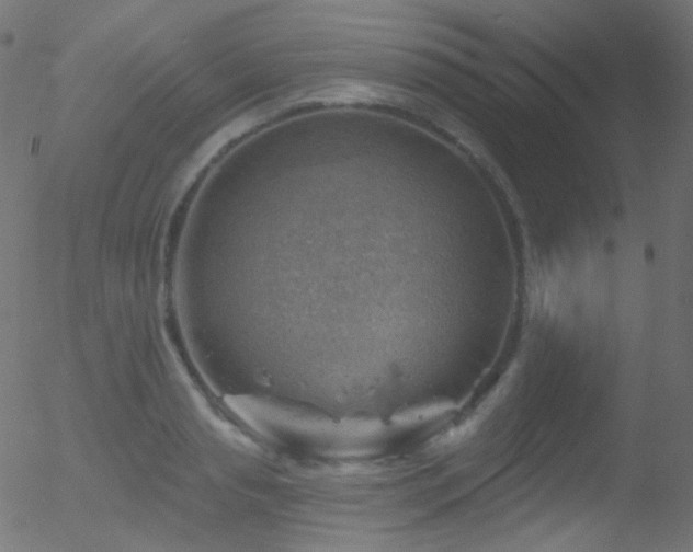 X0000052570845200507011219