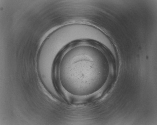 X0000052570846200507011219