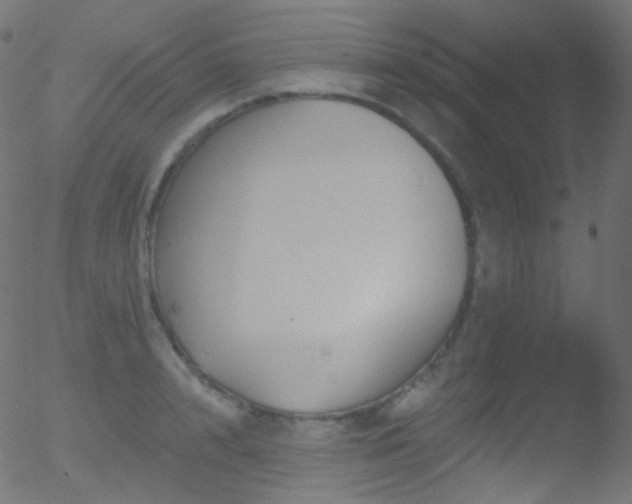 X0000052570848200507011219