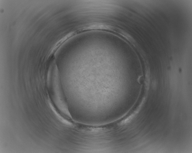 X0000052570849200507011219