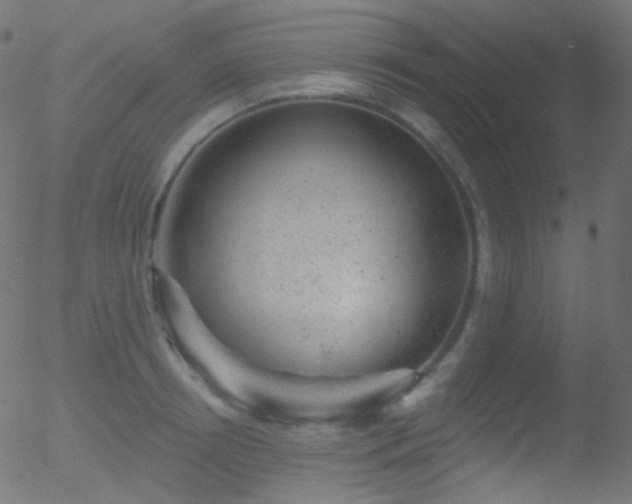 X0000052570850200507011219