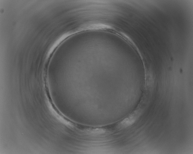 X0000052570851200507011219