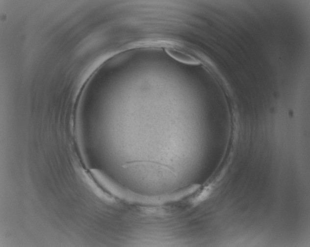 X0000052570852200507011219