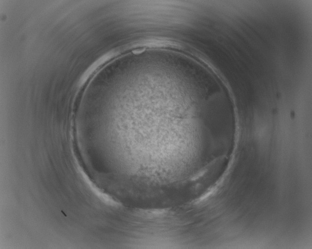 X0000052570853200507011219