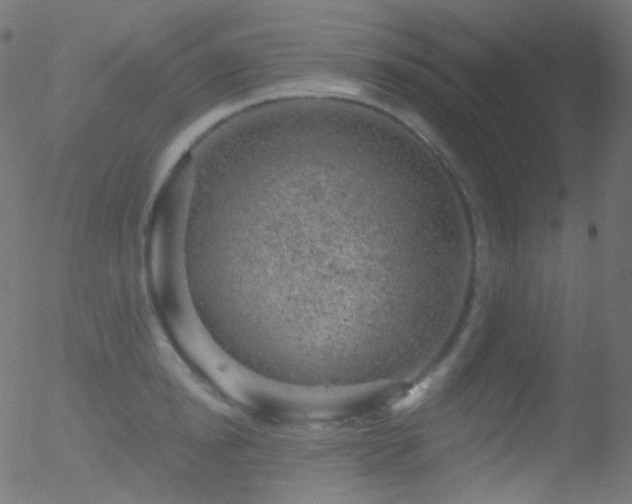 X0000052570854200507011219