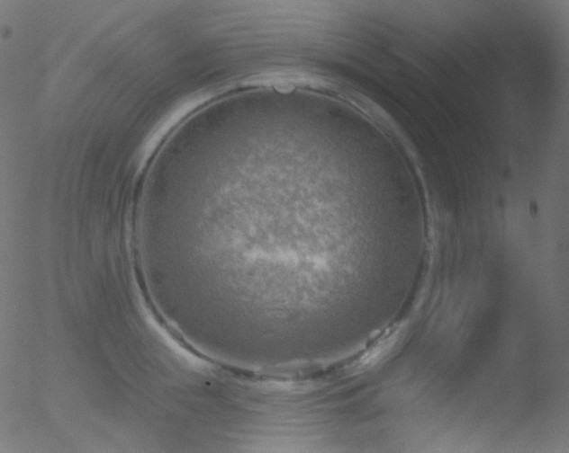 X0000052570855200507011219