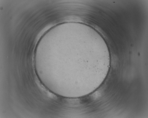 X0000052570856200507011219