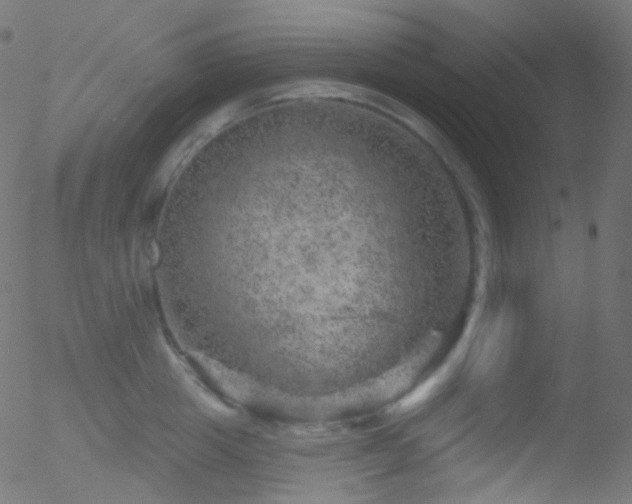 X0000052570857200507011219