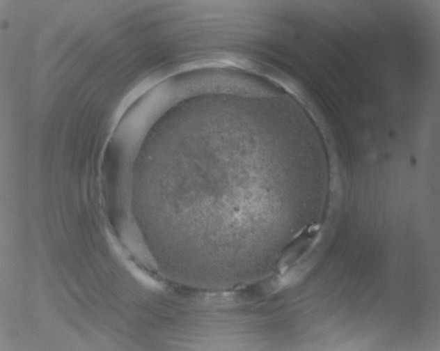 X0000052570858200507011219