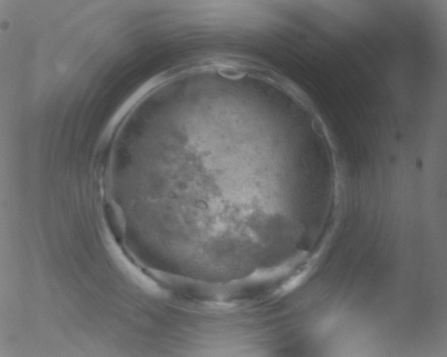 X0000052570859200507011219