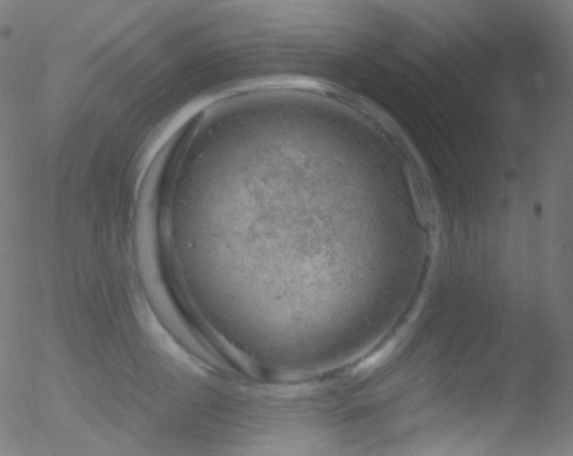 X0000052570860200507011219