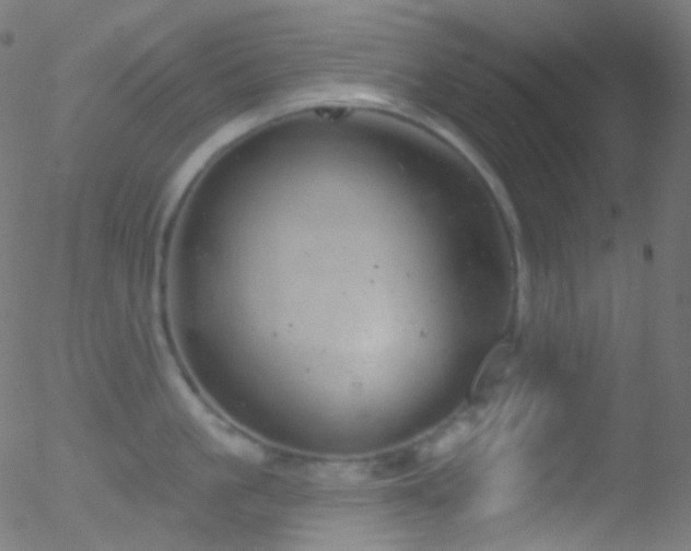 X0000052570861200507011219