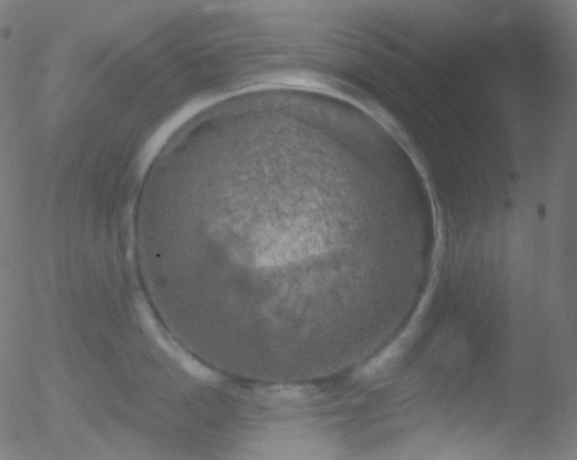 X0000052570862200507011219