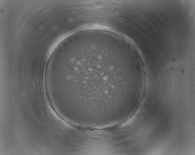 X0000052570863200507011219